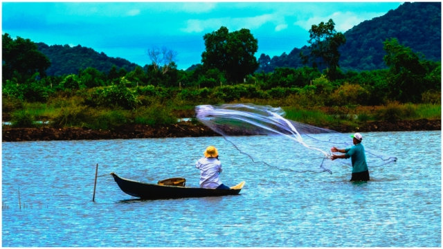 Mưu sinh trên Đầm Đông Hồ